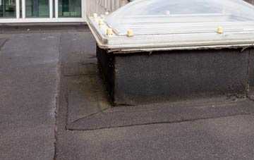 disadvantages of The Nant flat roofs