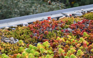 the cost of The Nant green roof installation