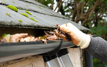 gutter cleaning The Nant, Wrexham