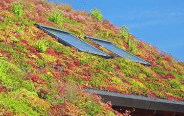 The Nant living roof systems