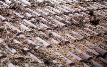 The Nant roof cleaning companies