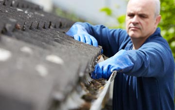cleaning and inspecting The Nant roofs