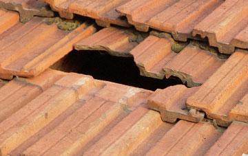 roof repair The Nant, Wrexham