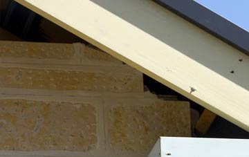soffit repair The Nant