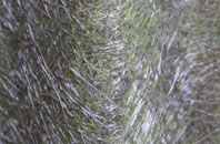 The Nant fibreglass roof work